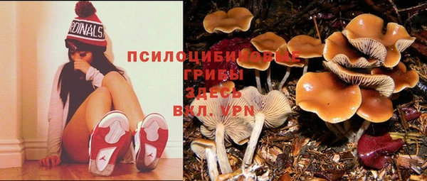 экстази Балахна