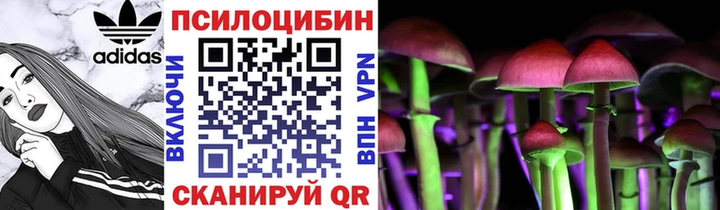 Псилоцибиновые грибы мицелий  Югорск 